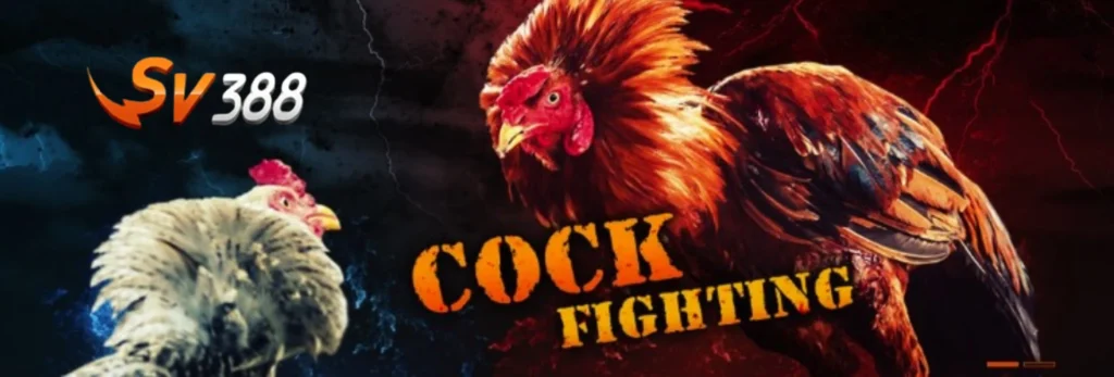 banner sv388vk blog